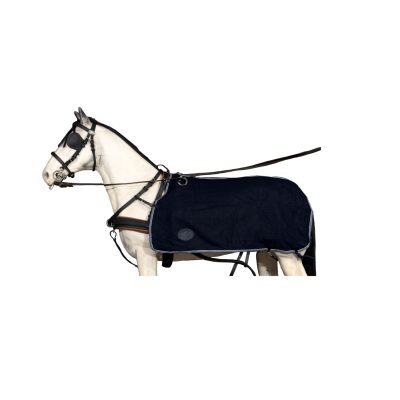 Cavalo branco com manta de tecido azul escura e peitoral preto