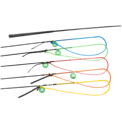 Cinco chicotes de equitação coloridos com cabos pretos e etiquetas de produto