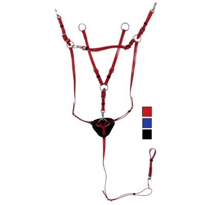 Arnês vermelho para animal de tração com argolas metálicas e parreira acolchoada preta