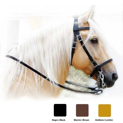 Cavalo bege claro com cabresto e rédeas pretas ajustáveis