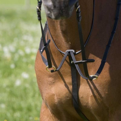 Cavalo castanho com arreio preto em campo verde