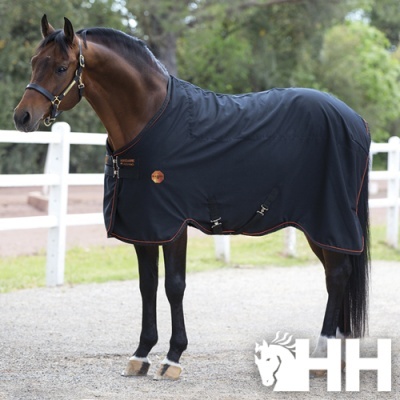 Cavalo castanho com manta preta e logótipo HH ao fundo