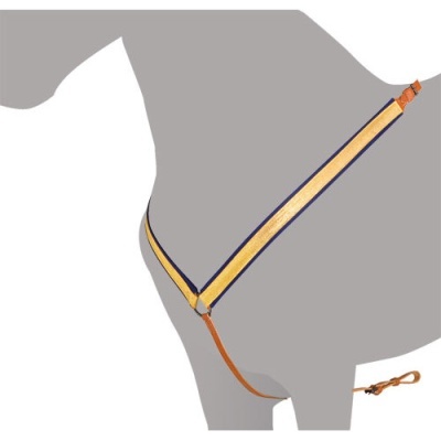 Corda de treino para cão bege e laranja com detalhes em azul escuro