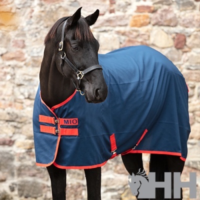 Cavalo preto com manta azul e detalhes vermelhos num cenário com parede de pedra