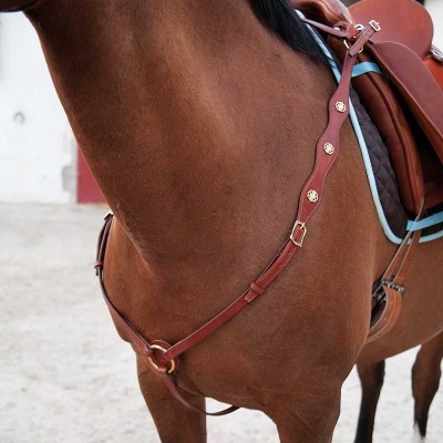 Cavalo castanho com sela e adereços em couro castanho com detalhes metálicos.