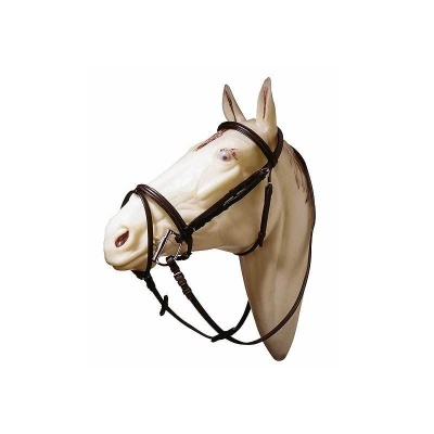 Cabeça de cavalo branco com cabresto de couro castanho escuro em fundo branco