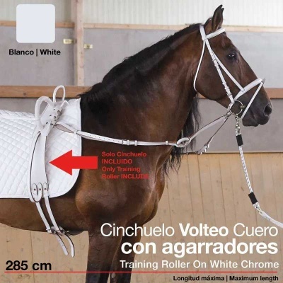 Cavalo castanho com selim branco e cinchuelo de couro branco com agarra dores