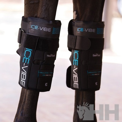Botas de proteção para cavalos pretas ICE-VIBE com detalhes azuis e fechos ajustáveis