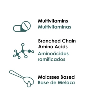 Ícones representando multivitaminas, aminoácidos ramificados e base de melaza com textos em inglês e português