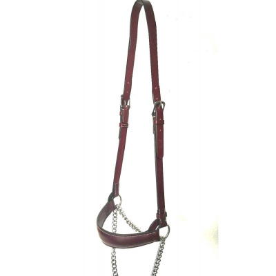 Cabresto para cavalo castanho com corrente metálica