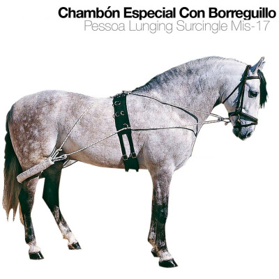 Cavalo cinzento com arreio preto e cordas brancas, texto de produto acima