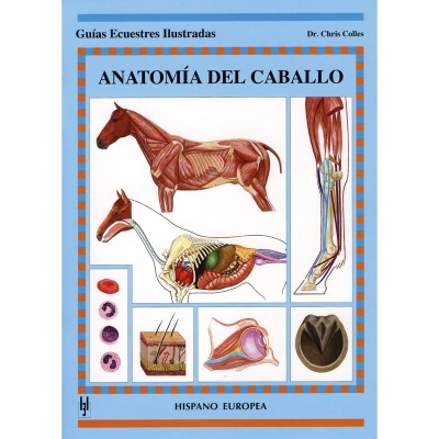 Capa de livro ANATOMÍA DEL CABALLO com ilustrações da anatomia do cavalo e textos relacionados.