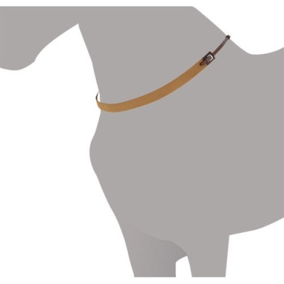 Cinto de couro castanho com fivela metálica