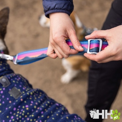 Coleira colorida para cão ajustada com fivela metálica e cão com casaco azul de bolinhas.