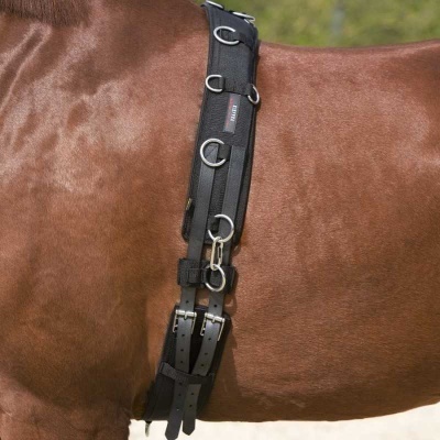 Cinturão de tração preto com argolas metálicas em cavalo castanho