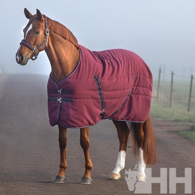 Cavalo castanho com manta bordô acolchoada ao ar livre