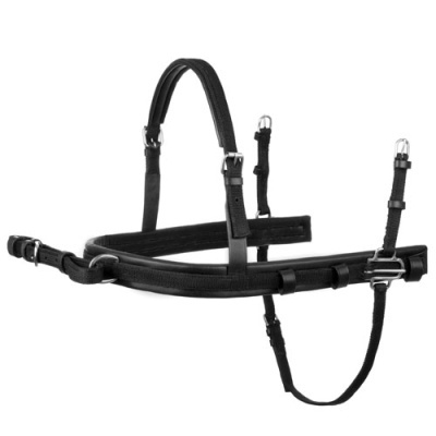 Cabresto preto para cavalo com fivelas metálicas