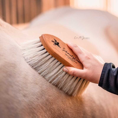 Escova de madeira com cerdas brancas para cavalo sendo usada.