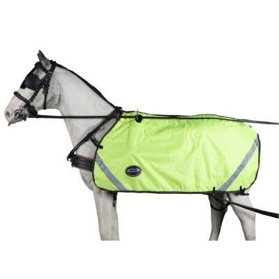 Cavalo branco com capa impermeável verde fluorescente com faixas refletoras.
