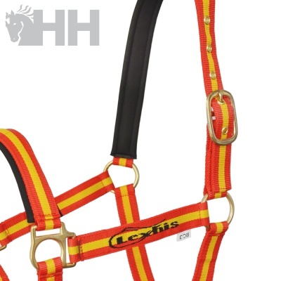 Cabresto para cavalo listrado amarelo e vermelho com fivelas douradas e etiqueta lexhis