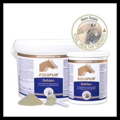 Recipientes de suplemento alimentar EQUIPUR foal com rótulos e pó cinzento, colher e em fundo branco.