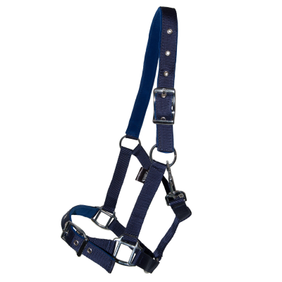 Cabresto para cavalo azul escuro com fivelas prateadas