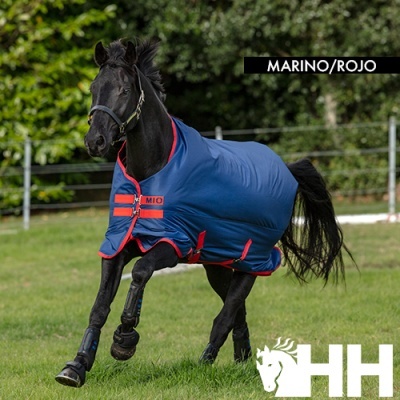 Cavalo preto com manta azul marinho com detalhes vermelhos no campo