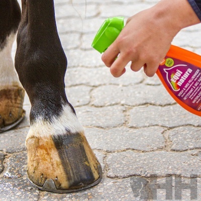 Frasco de spray laranja com tampa verde sendo aplicado em casco de cavalo