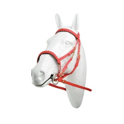 Cabresto vermelho de cavalo em cabeça de cavalo branca