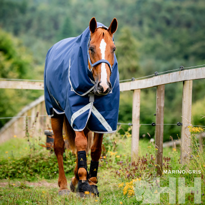 Cavalo castanho com proteção azul-marinho e pretas numa cerca de madeira num ambiente verde