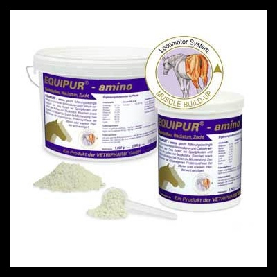 Dois frascos de suplemento EQUIPUR amino com pó branco e colher ao lado