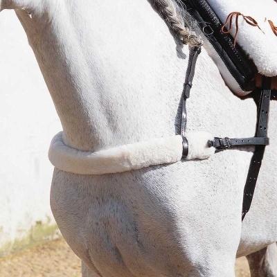 Focinho de cavalo branco com cabeçada preta de couro e revestimento felpudo branco, em ambiente externo.