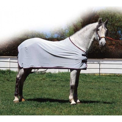 Cavalo cinzento claro com manta branca e bordas roxas em relva