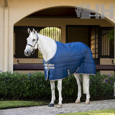 Cavalo branco com manta azul-marinho acolchoada em estábulo com plantas e flores