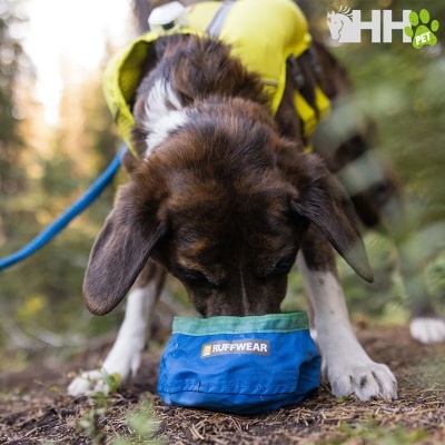 Cão castanho e branco a beber água de uma tigela azul RUFFWEAR ao ar livre