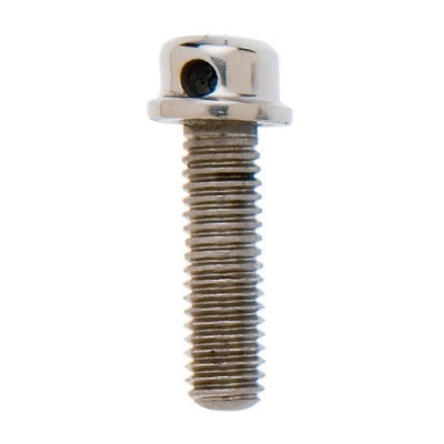 Parafuso metálico cromado com cabeça redonda e rosca