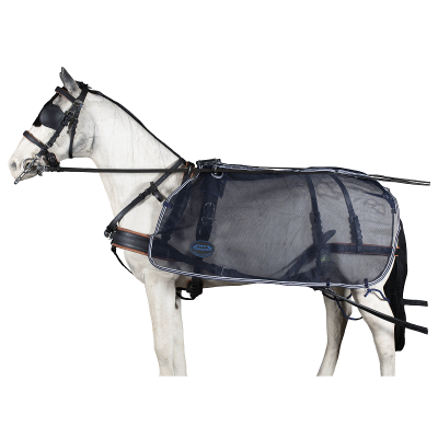 Cavalo com arreios e cobertor preto translúcido