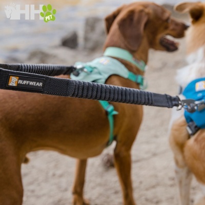 Dois cães com peitorais e trela preta Ruffwear em ambiente de praia