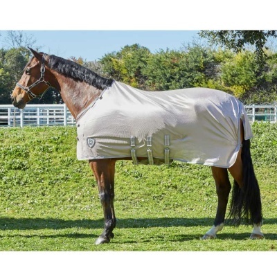 Cavalo com manta bege clara e cabeçada preta em campo verde