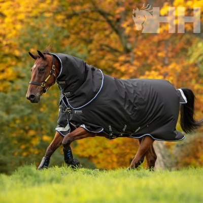 Cavalo vestido com manta impermeável preta com detalhes em branco e azul em ambiente natural outonal