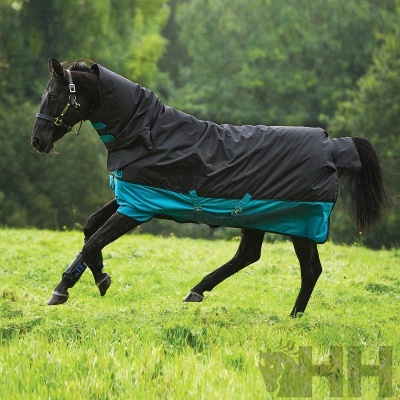 Cavalo com cobertura preta e azul a correr no campo verde
