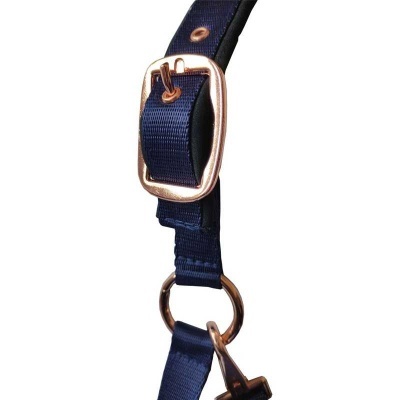 Correia azul escura com fivela e argola douradas