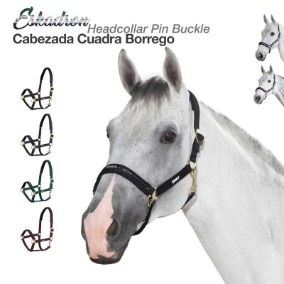 Cabeça de cavalo branca com cabeçada preta e várias cabeçadas coloridas em fundo branco