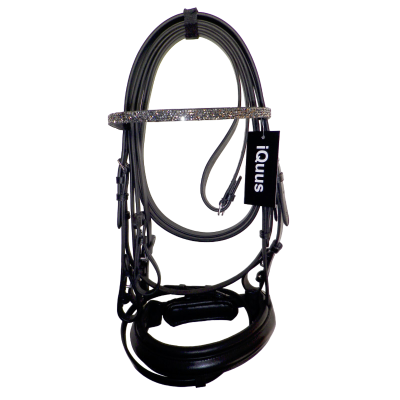 Bridão de cavalo preto com tira frontal brilhante e etiqueta iQuus