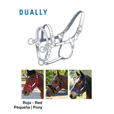 Cabrestos para pónis em vermelho, preto e azul com detalhes metálicos.