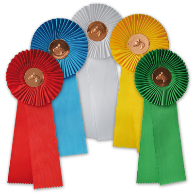 Conjunto de cinco rosetas de prémios em cinco cores com medalha de cavalo