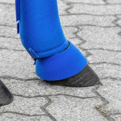 Pernas de cavalo com proteções azuis em pavimento de pedra