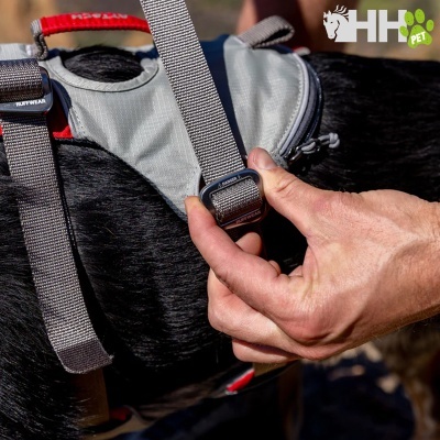 Arnês cinza com vermelho para cão com fivela ajustável e etiqueta AMIGO FELIZ