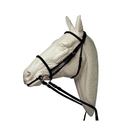 Cabezada preta em cabeça de cavalo branca texturizada