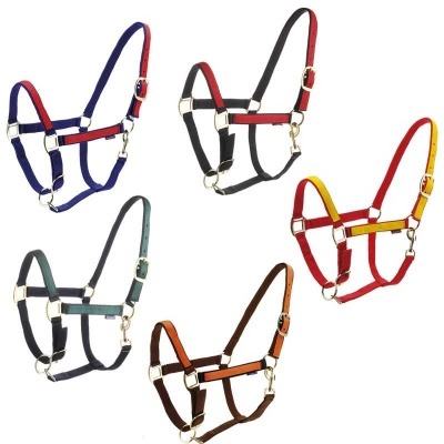 Cabrestos para animais em nylon colorido com fivelas metálicas.